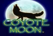 Coyote Moon slot